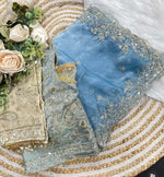 Powder blue and white ombre organza saree & Stitched Blouse in Germany Namma Markt