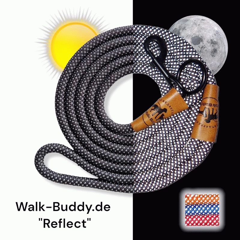 Reflektierende Hundeleine© mit Handschlaufe und veganem Leder in 4 Farben und Varianten Namma Markt