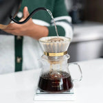 Brewista X-Series M Server – 300 ml