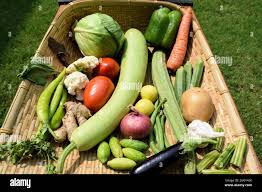 Mixed Vegetables 10€/Kg€ - Pos