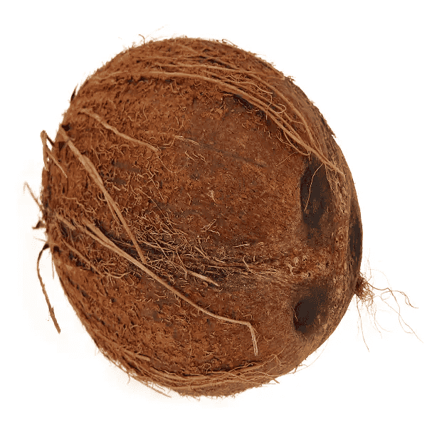 Fresh Coconut with out hair 1pc - Namma Markt