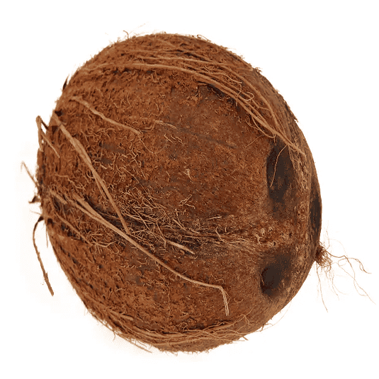 Fresh Coconut with out hair 1pc - Namma Markt