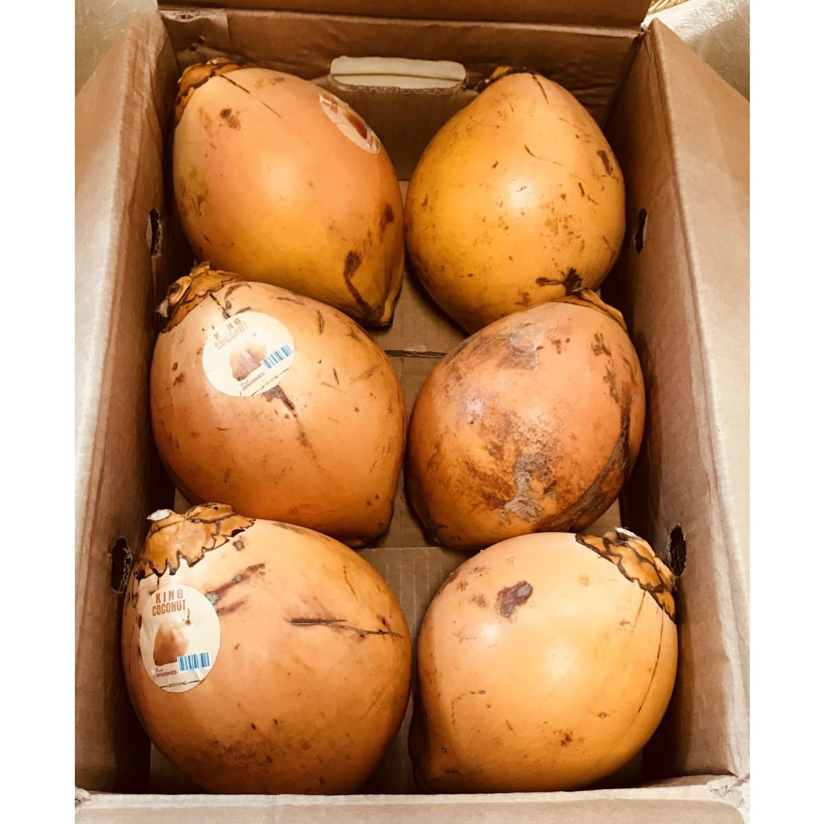 Tender Coconut Water(Full Coconut - 100% Natural and Tasty water) product image 2
