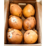 Tender Coconut Water(Full Coconut - 100% Natural and Tasty water) product image 2