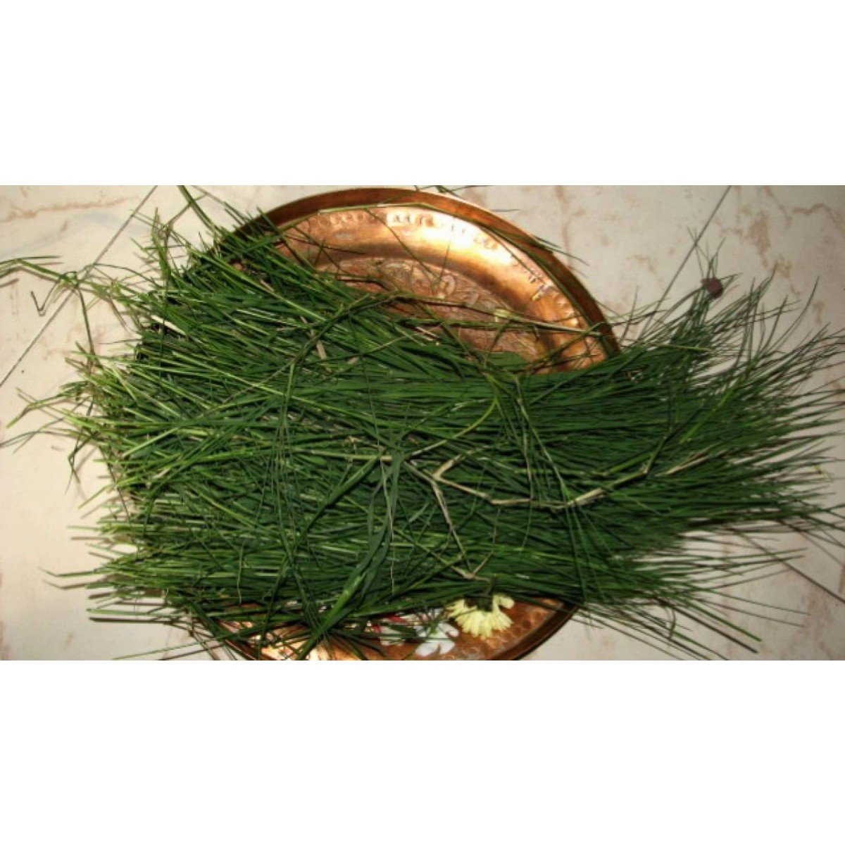 Arugampull(Dhub grass) Bunch - Ideal for Ganesh Chaturthi/Vinayaka Chaturthi product image 2