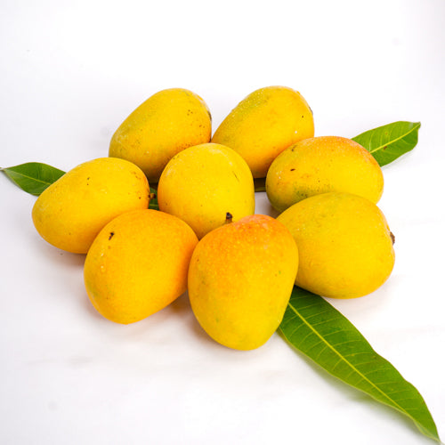 Alphonso Mango ( box 6 Pieces) | Naturally Ripened and Carbide Free(No refund or guarantee)