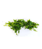 Mudakathan keerai/ Balloon vine leaves -1 bunch - Namma Markt