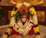 Navarathri Pooja Package product image 1