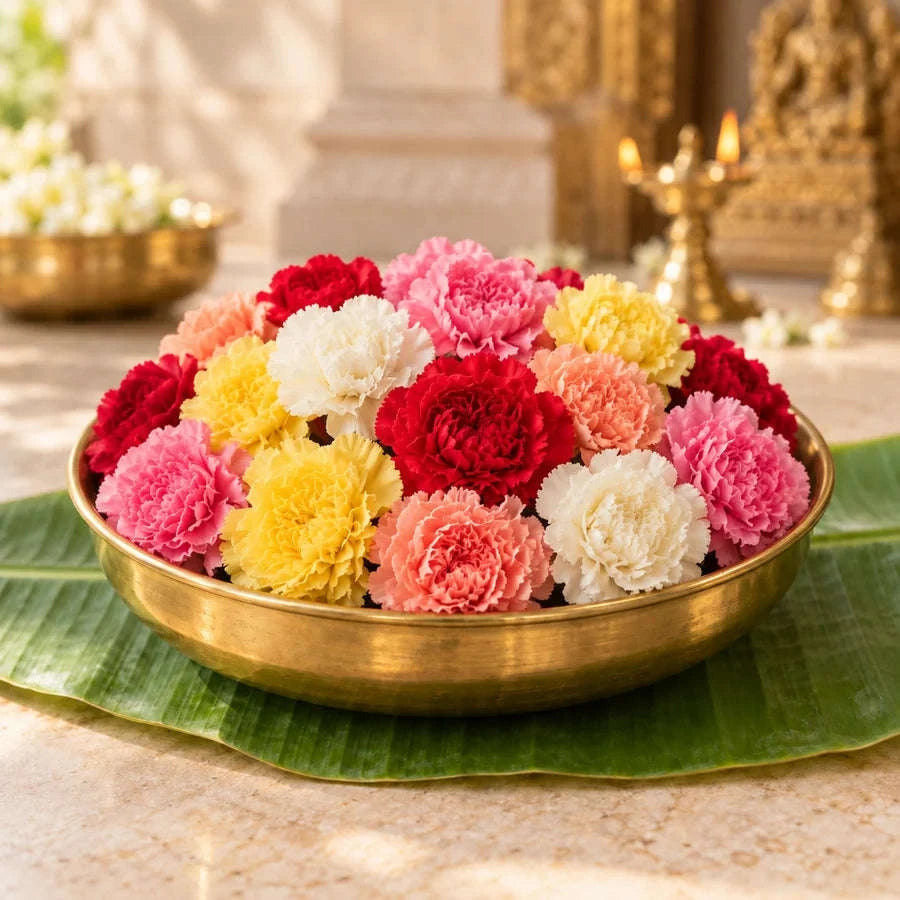 Carnation Mixed Colour (1kg) Namma Markt