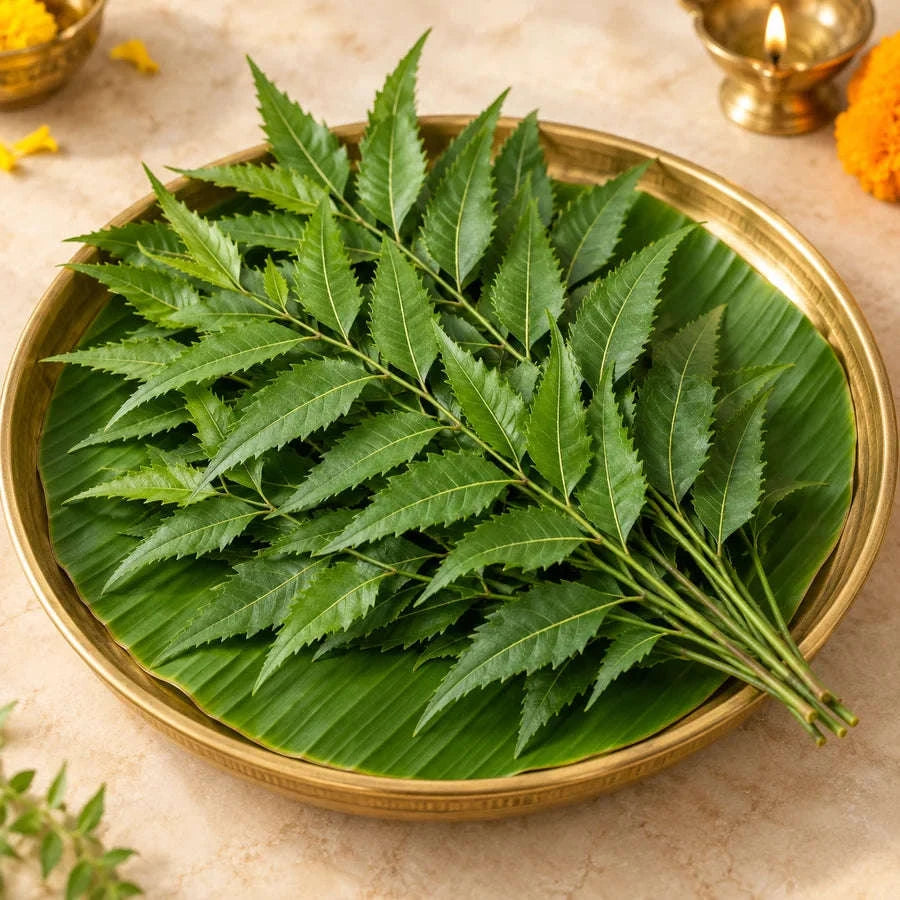 Fresh Neem Leaves – 10 Stems Namma Markt