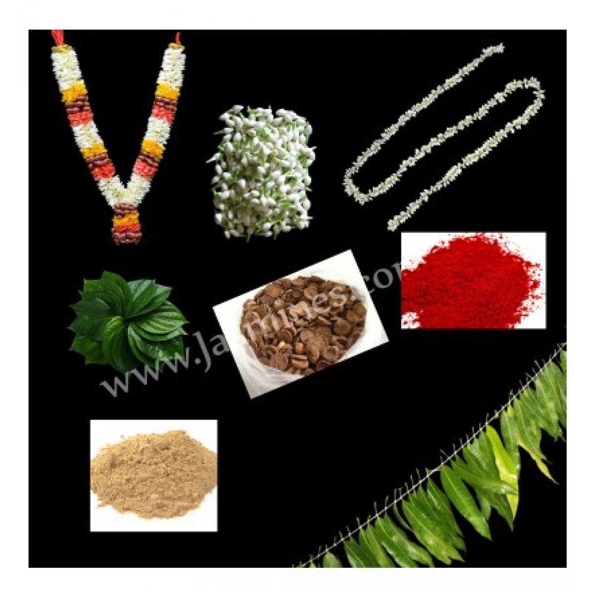 Puberty Function Package - Simple product image 1