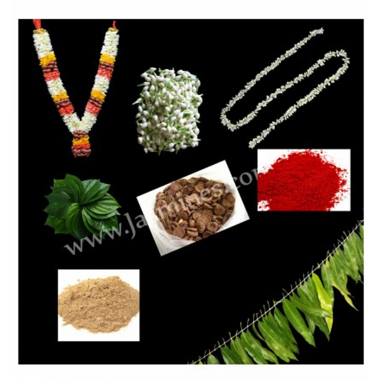 Puberty Function Package - Simple product image 1