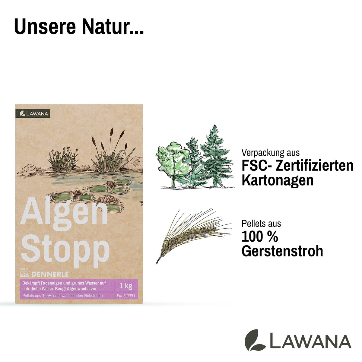 Algen Stopp
