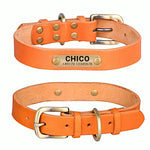 Echtleder Hundehalsband mit Messingschnalle in vier Farben und gratis Gravur Name und Telefon