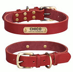 Echtleder Hundehalsband mit Messingschnalle in vier Farben und gratis Gravur Name und Telefon