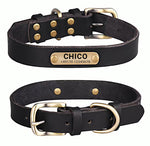 Echtleder Hundehalsband mit Messingschnalle in vier Farben und gratis Gravur Name und Telefon