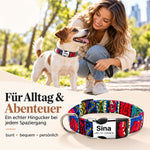 Hundehalsband „Sina“ – Personalisiert mit Namen & Nummer | Verstellbar, bunt & robust
