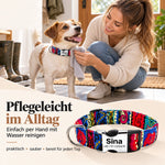Hundehalsband „Sina“ – Personalisiert mit Namen & Nummer | Verstellbar, bunt & robust