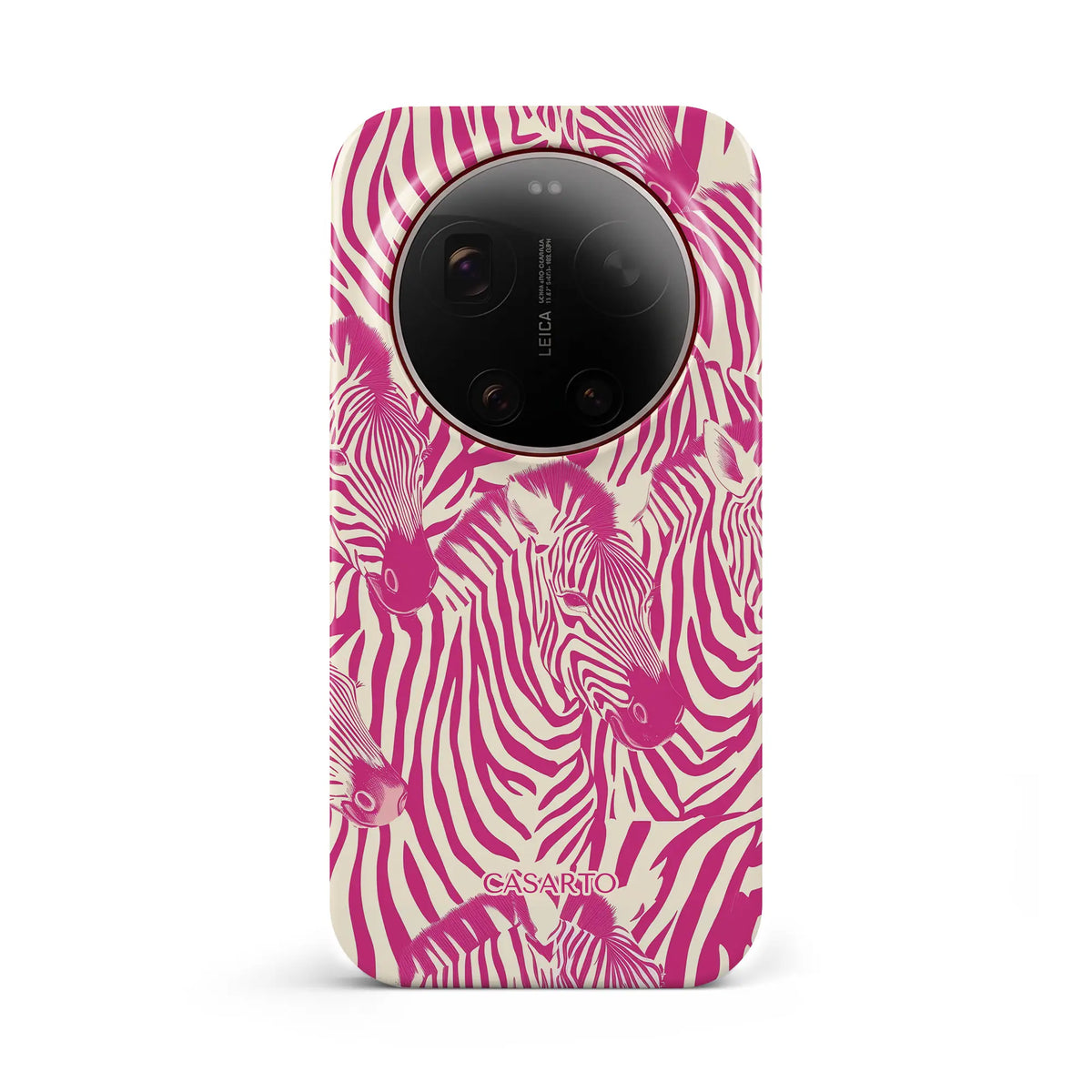 Zebra Chic