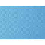 Papier-Tischsets 30x40 cm in mint blue - Ideal für Partys und Events | Packung (500 Stück)