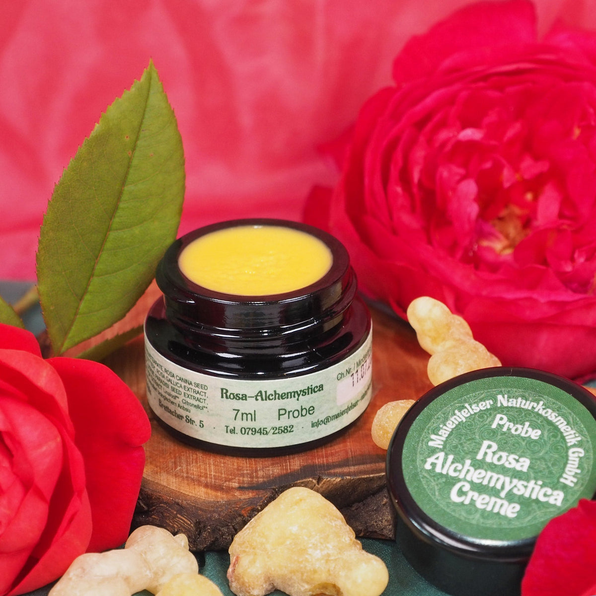 Rosa Alchemystica Creme