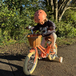 Glerc 12 Inch Girls Bike with Hand Brake - Little Molly