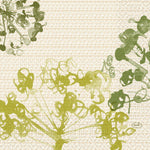 Zellt.-Servietten 33x33 cm, 3-lagig, grün | Packung (50 Servietten)