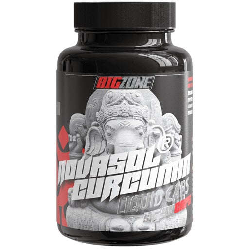 Big Zone NovaSol® Curcumin 90 Liquid Kapseln Namma Markt