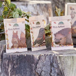 3 kleine Mahlzeiten für Igel, Eichhörnchen & Vögel Namma Markt