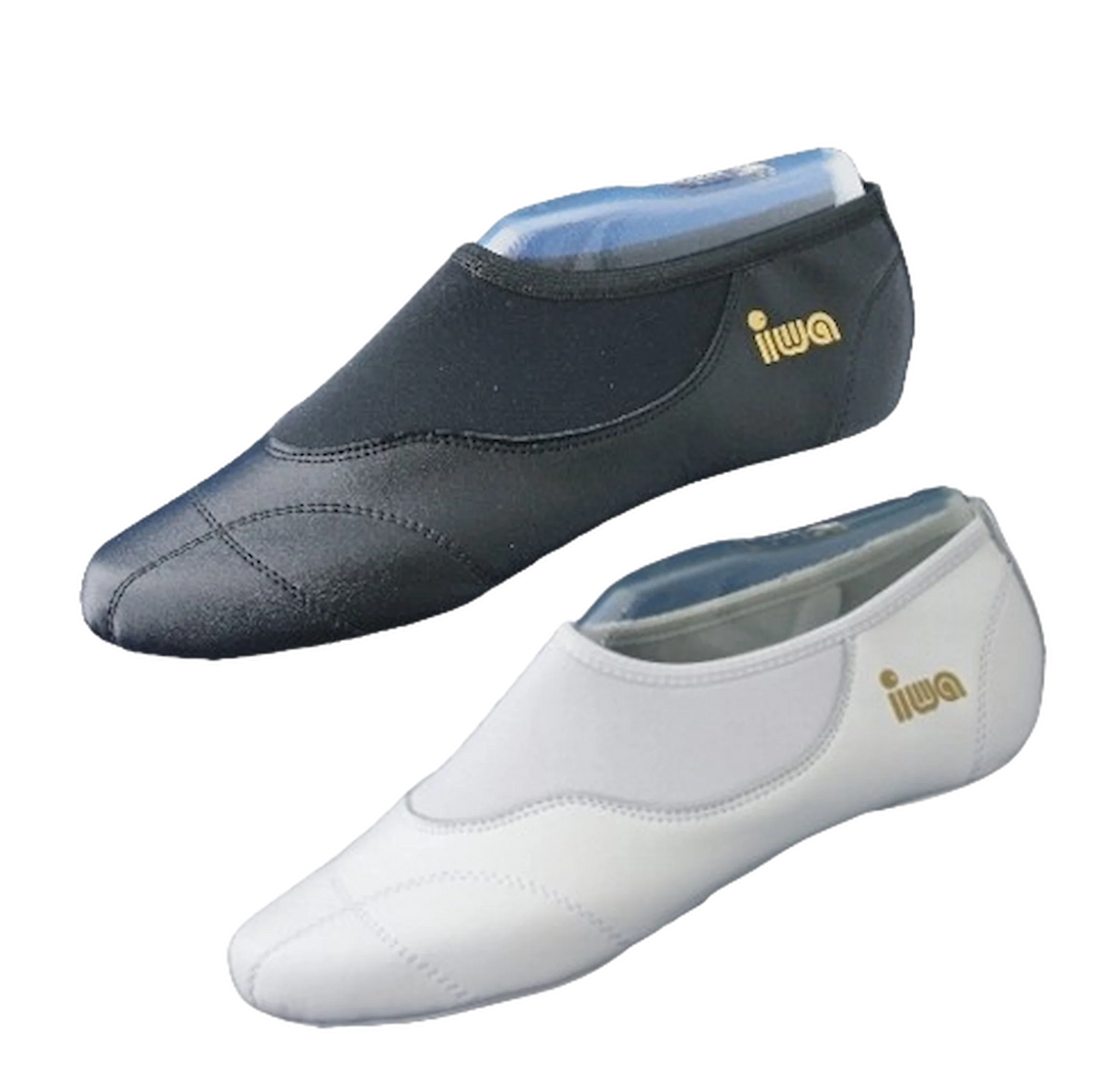 IWA 270 Voltigierschuhe Leder