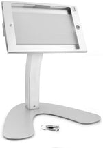 Abschließbarer Aluminium Präsentations Messe Ständer Stand Mount 31 cm für iPad mini iPad mini 2 | System-S