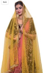 Women's net stone work shimmer lace dupatta