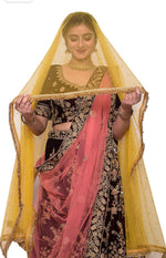 Women's net stone work shimmer lace dupatta