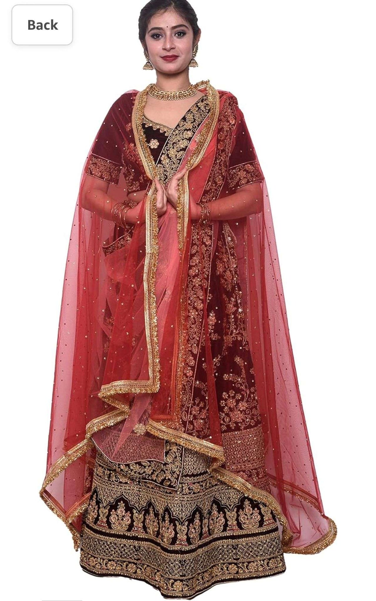 Women's net stone work shimmer lace dupatta