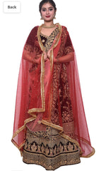 Women's net stone work shimmer lace dupatta