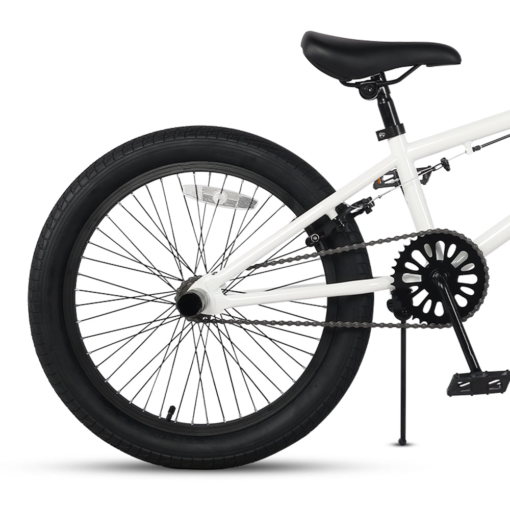 Crossea - K 20 inch