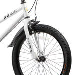 Glerc 20 Inch Kids Bike-Fantacy