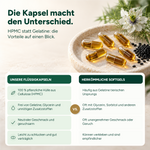 Bio Schwarzkümmelöl Kapseln