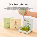 Pflanzkästchen - Herzrasen