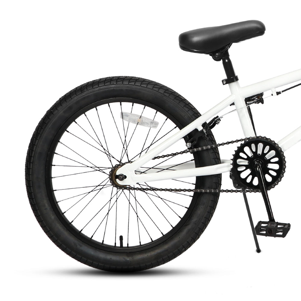 Crossea 18 inch