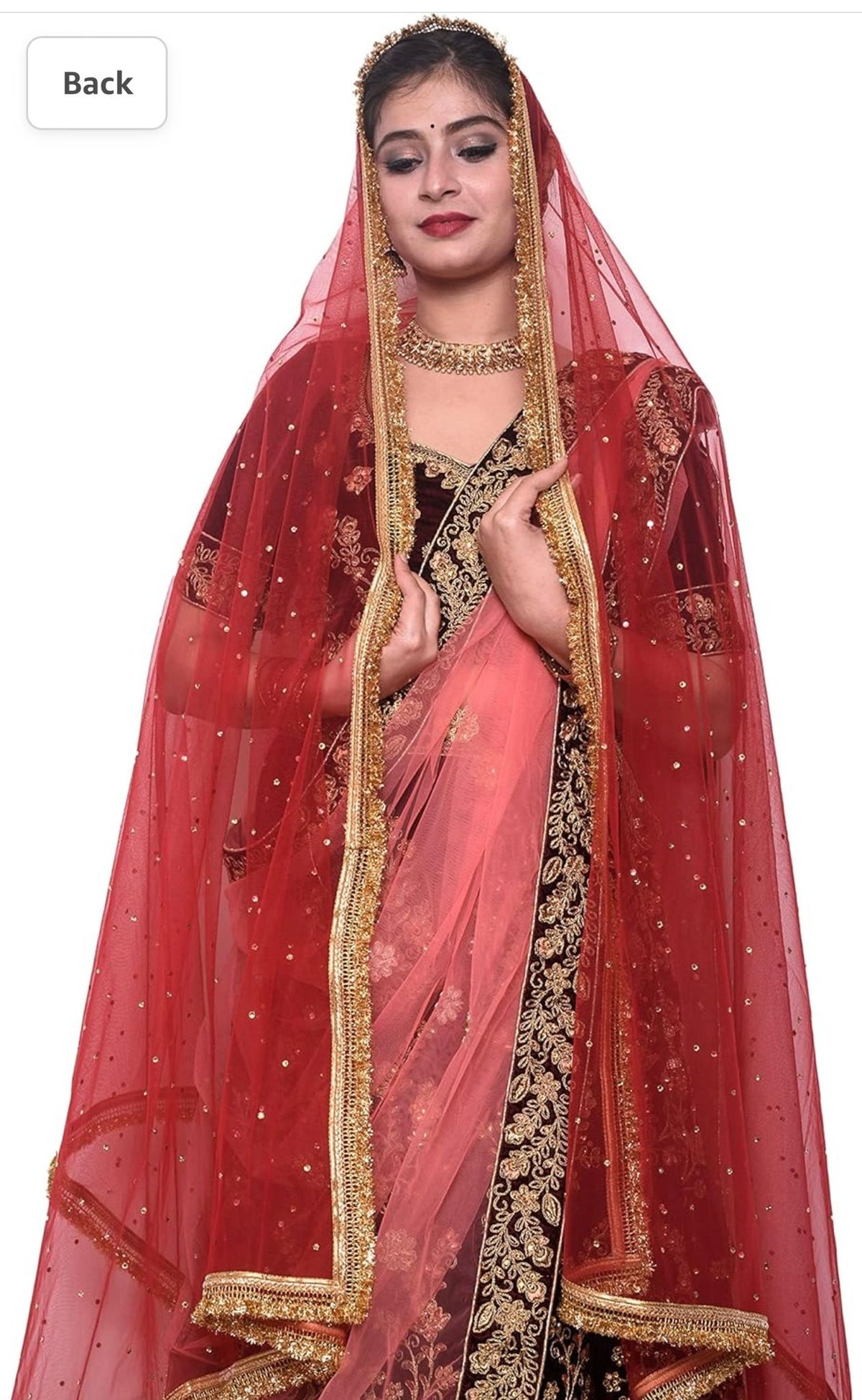 Women's net stone work shimmer lace dupatta