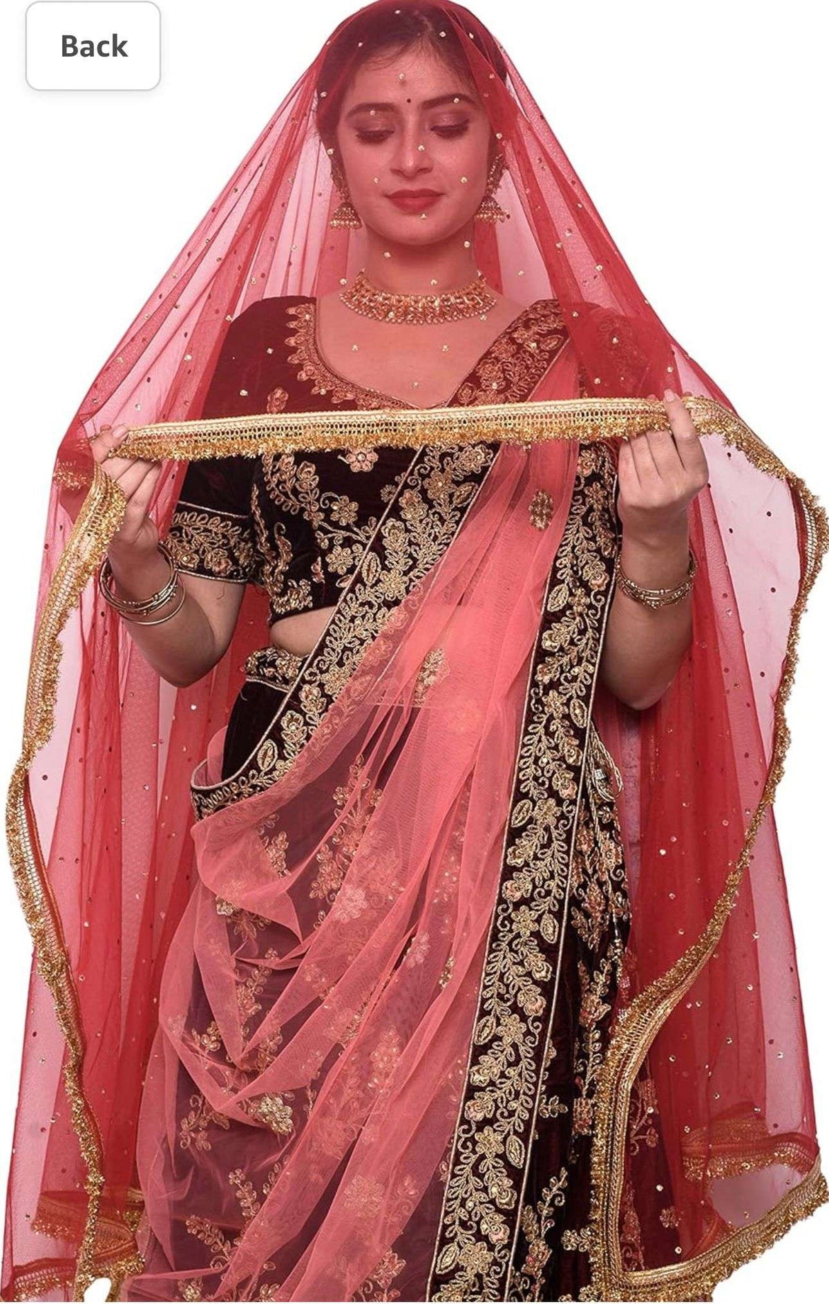 Women's net stone work shimmer lace dupatta