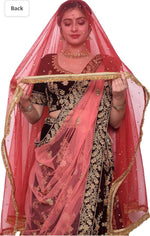 Women's net stone work shimmer lace dupatta