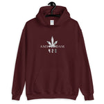 420 Amsterdam Kapuzenpullover