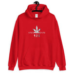 420 Amsterdam Kapuzenpullover