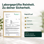 Leber Plus – Mariendistel Komplex