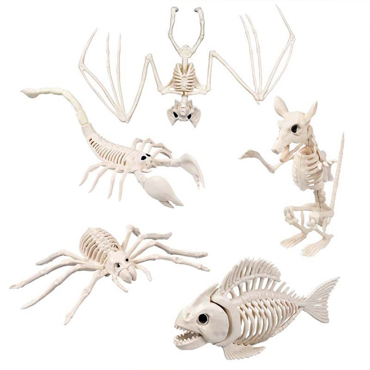 Skelett Tiere 5-fach sortiert | Beige - Halloween