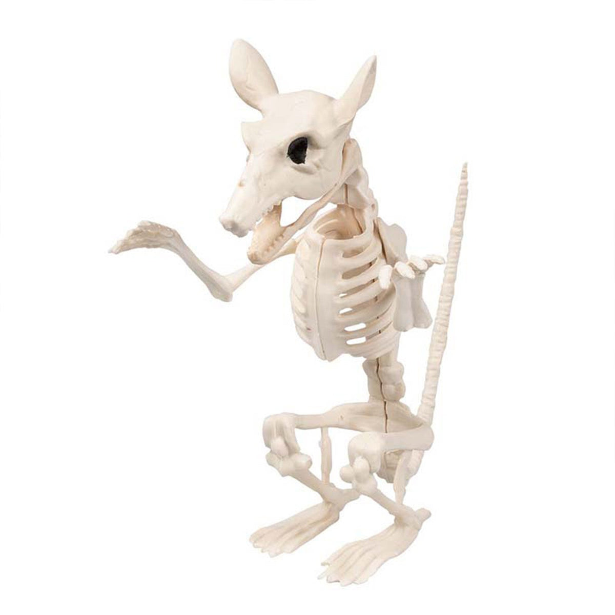 Skelett Tiere 5-fach sortiert | Beige - Halloween