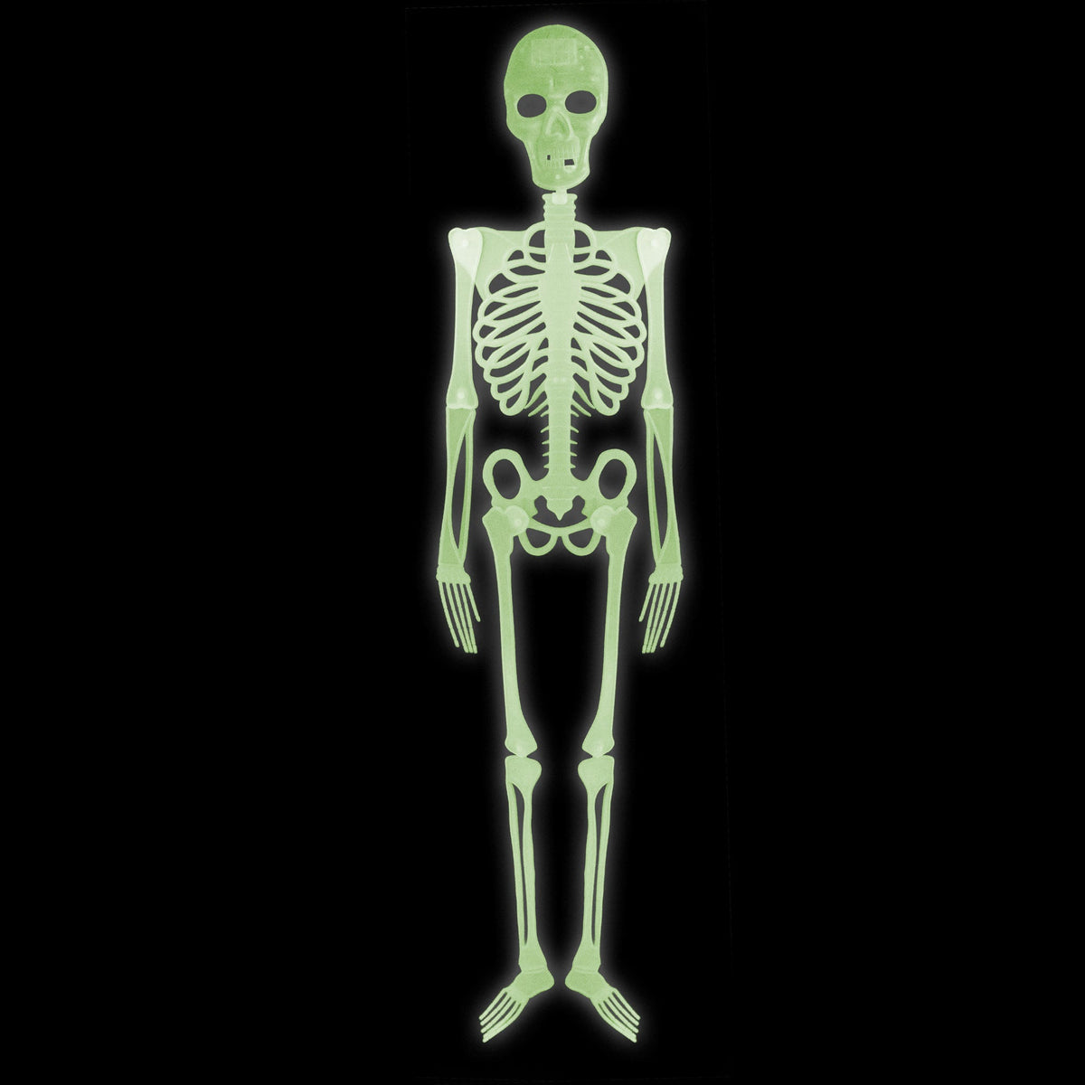 Skelett 150 cm | Große Halloween-Deko zum Hängen oder Stellen