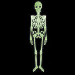 Skelett 150 cm | Große Halloween-Deko zum Hängen oder Stellen